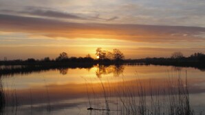 Un lac paisible où se reflète le coucher de soleil, avec des arbres en arrière-plan.