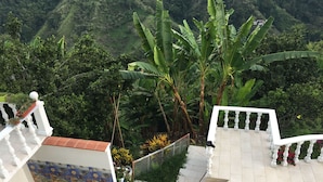 A staircase with white balustrades leading to a terrace with a tiled floor, surrounded by lush greenery and banana plants. - VILLA NINA. Enjoy the most beautiful sunsets. (Manizales)
