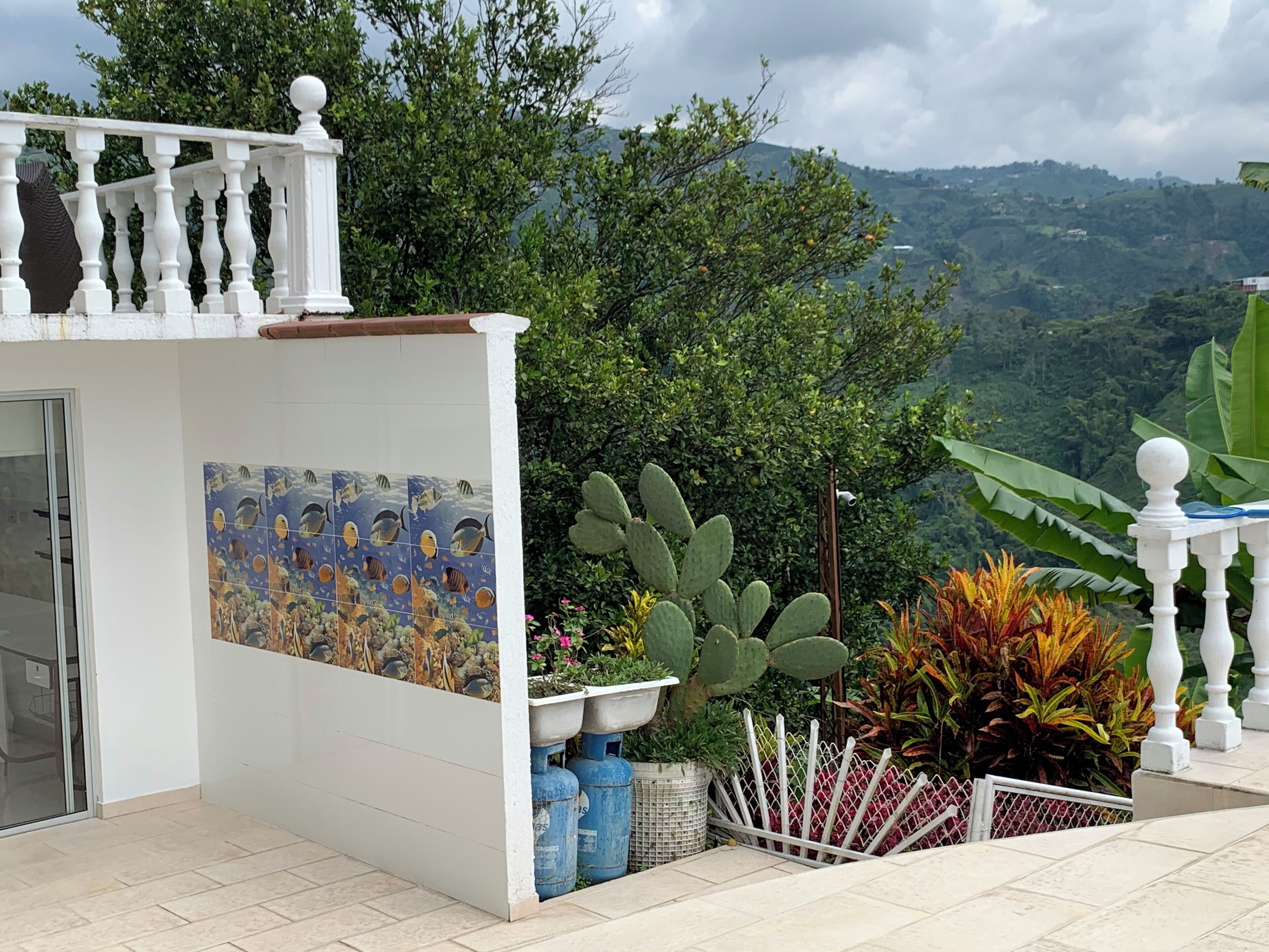 A balcony with a white railing, a tiled wall with a marine-themed design, and potted plants including a cactus.