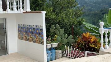 A balcony with a white railing, a tiled wall with a marine-themed design, and potted plants including a cactus.