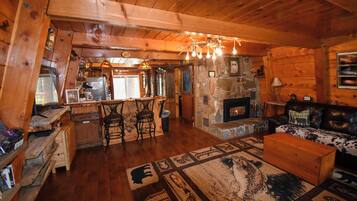 Smart TV, fireplace, DVD player, books