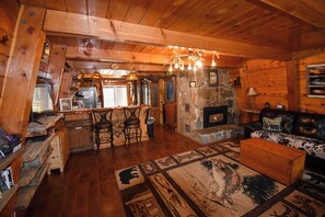 TV connectée, cheminée, lecteur de DVD, livres