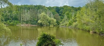 Cozy Couple’s Cabin