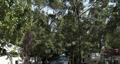 Tree lined, family and pet friendly campground in Livingston, TX