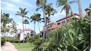 A resort with palm trees and a pathway leading to buildings with red roofs. - Charming condo walking distance to Sapphire Beach, St Thomas (St Thomas)