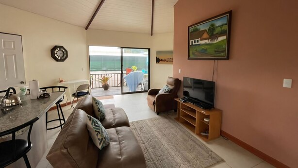 A living room with a TV, leather sofas, a dining area with a table and chairs, and a balcony with a view.