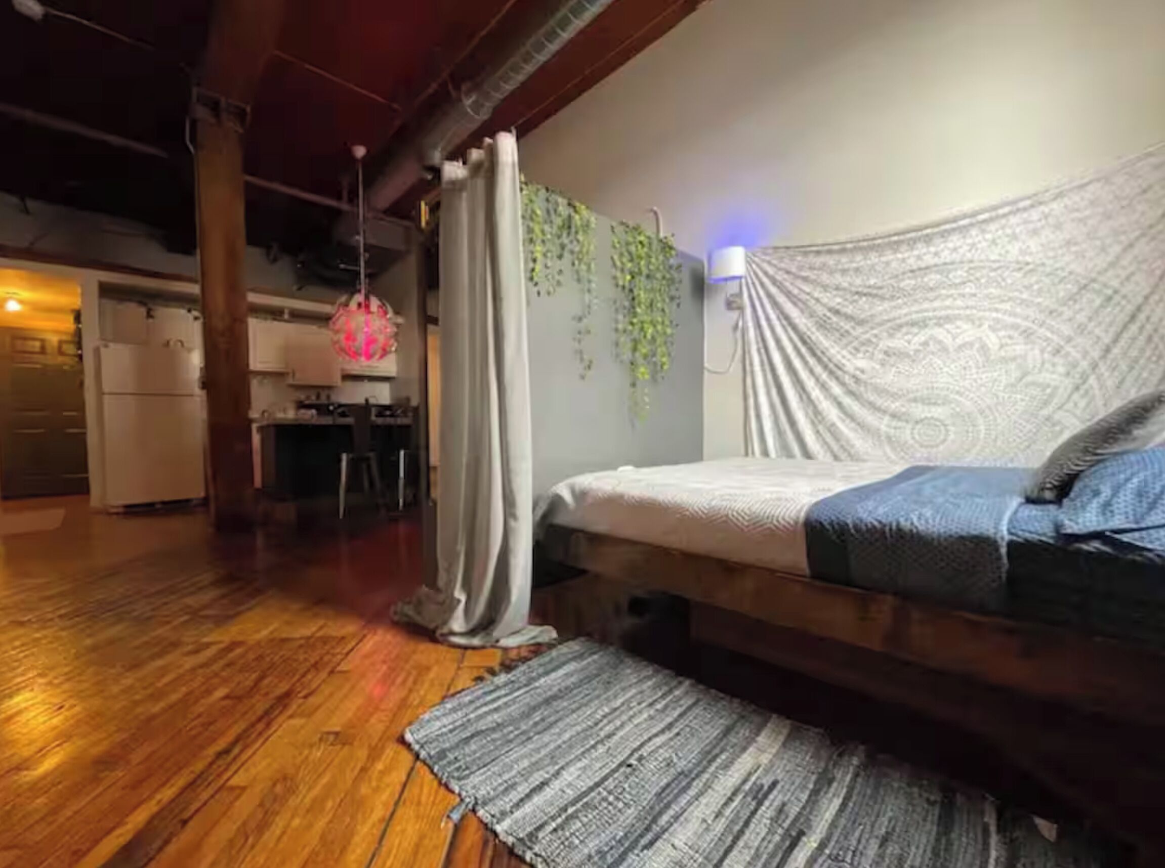 A bedroom with a bed, a hanging plant, a patterned wall, and a kitchen in the background.