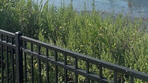 Ein Yachthafen mit vertäuten Booten, ein klarer Himmel und eine Brücke im Vordergrund.