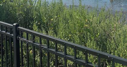 Downtown 2br/1ba apartment -- free parking, outdoor patio & walk everywhere