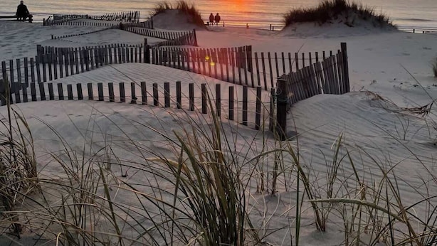 Una playa con una valla de madera y dunas.