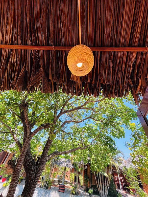 Garden - The little garden homestay (Phan Thiet)