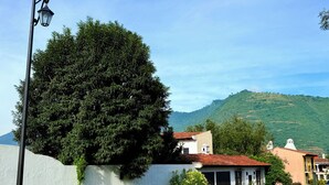 Un carrer amb un fanal, un arbre gran i edificis amb teules vermelles.