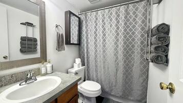 Secador de pelo, jabón y papel higiénico