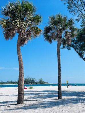 Sun-loungers, beach towels