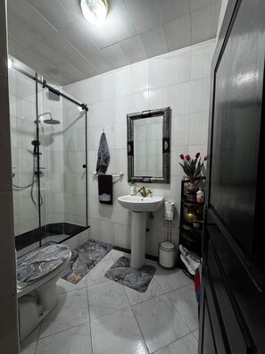 Hair dryer, towels, soap, toilet paper
