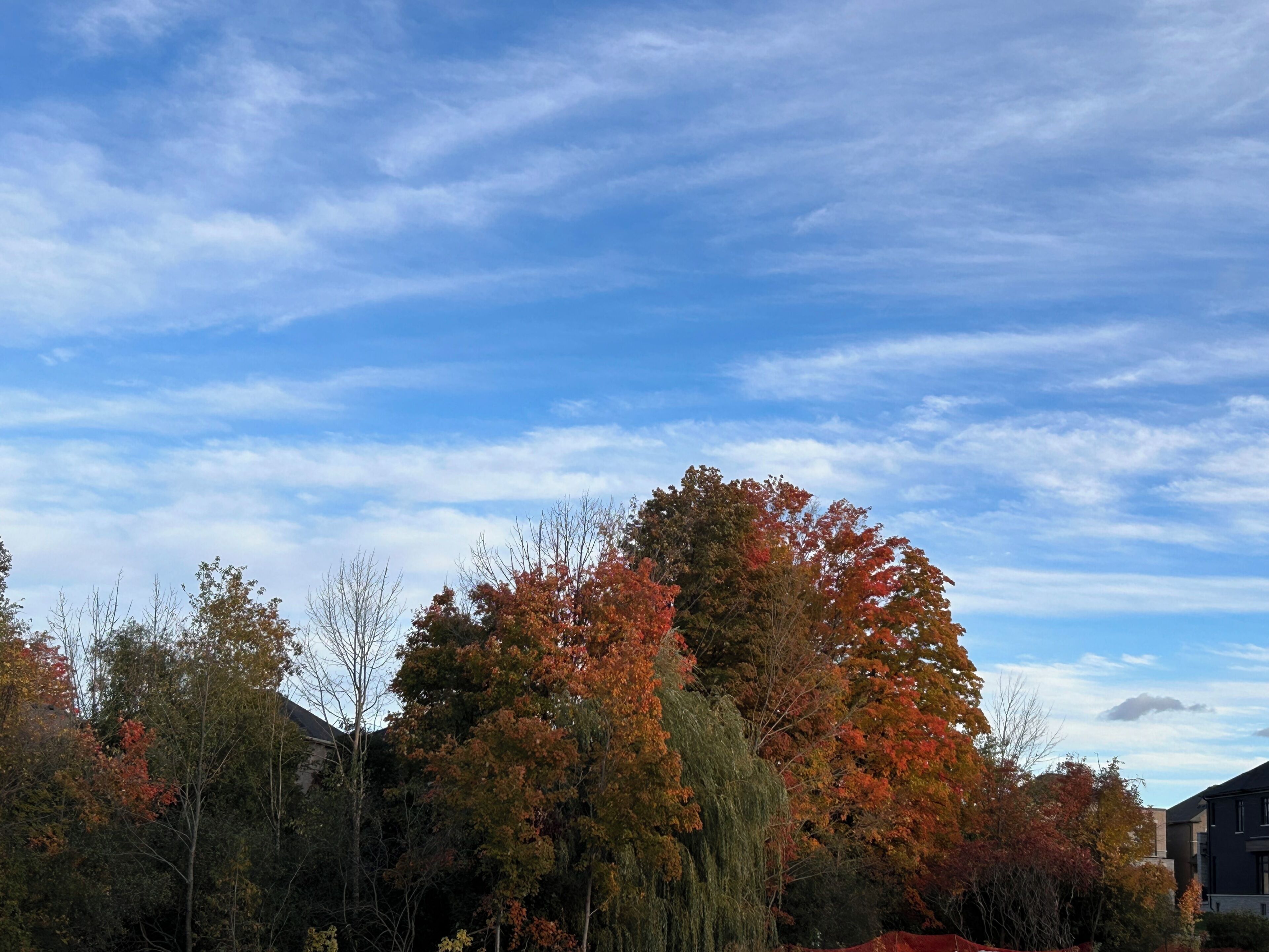 Ein Wohngebiet mit herbstlich gefärbten Bäumen und blauem Himmel.