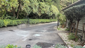 Une route pavée bordée de pierres, un lampadaire et divers arbustes et arbres.