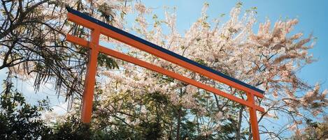 Fachada del alojamiento