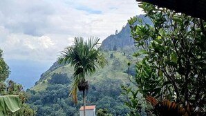 A view of a mountainous landscape with dense greenery and a palm tree in the foreground. - Misty Cabins Ella (Ella)