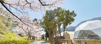 Grill your own Ashigara beef BBQ dinner and brea / Ashigarakami District Kanagawa