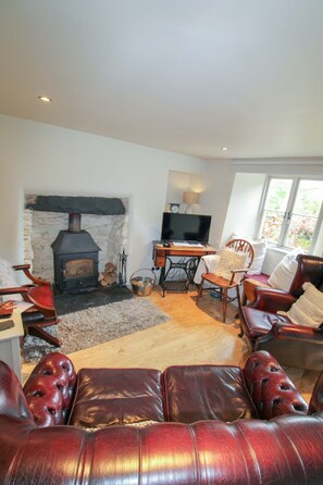 Televisión y chimenea 