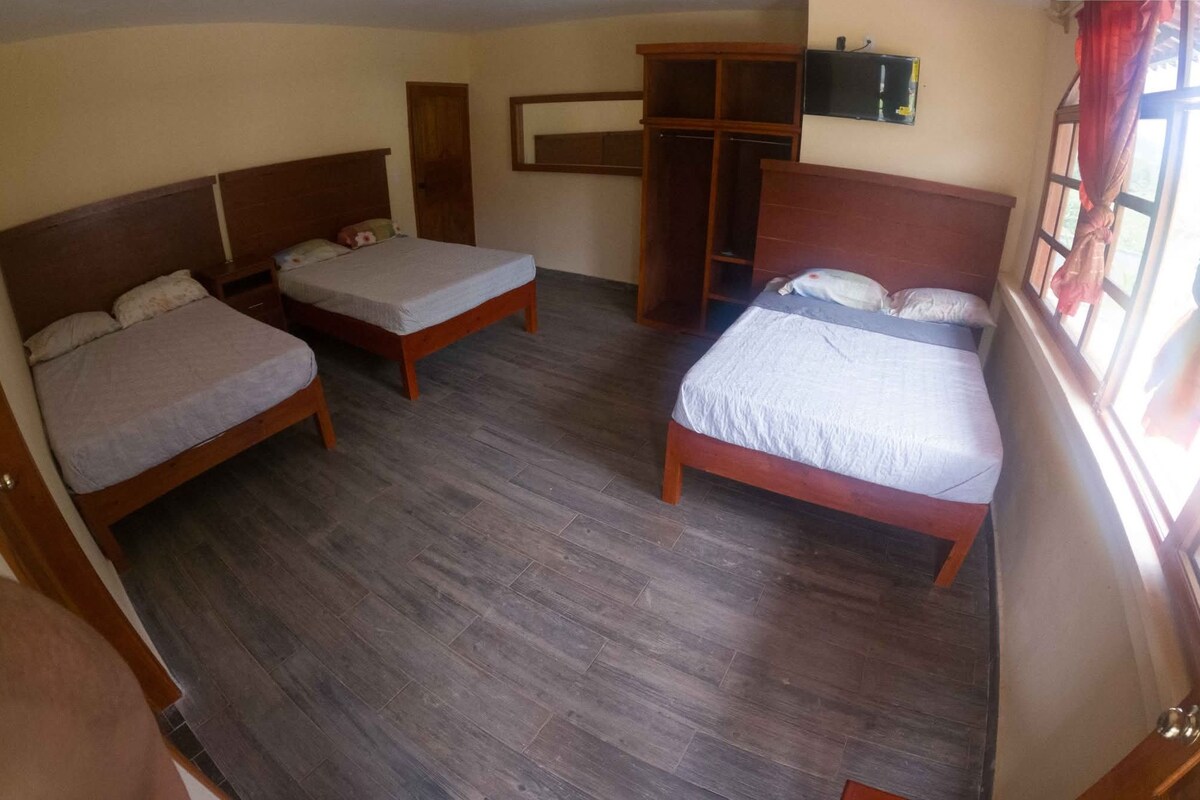 Una habitación de hotel con tres camas de madera, un armario y un televisor en la pared.