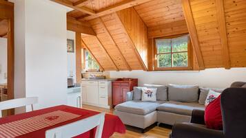 TV, table tennis, stereo