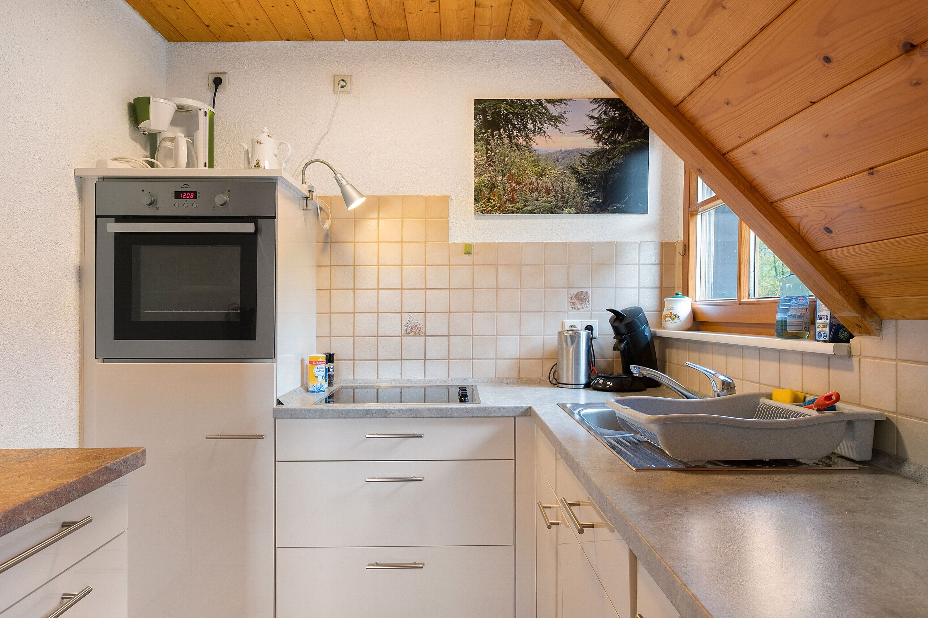 Kühlschrank, Ofen, Herdplatte, Geschirrspüler