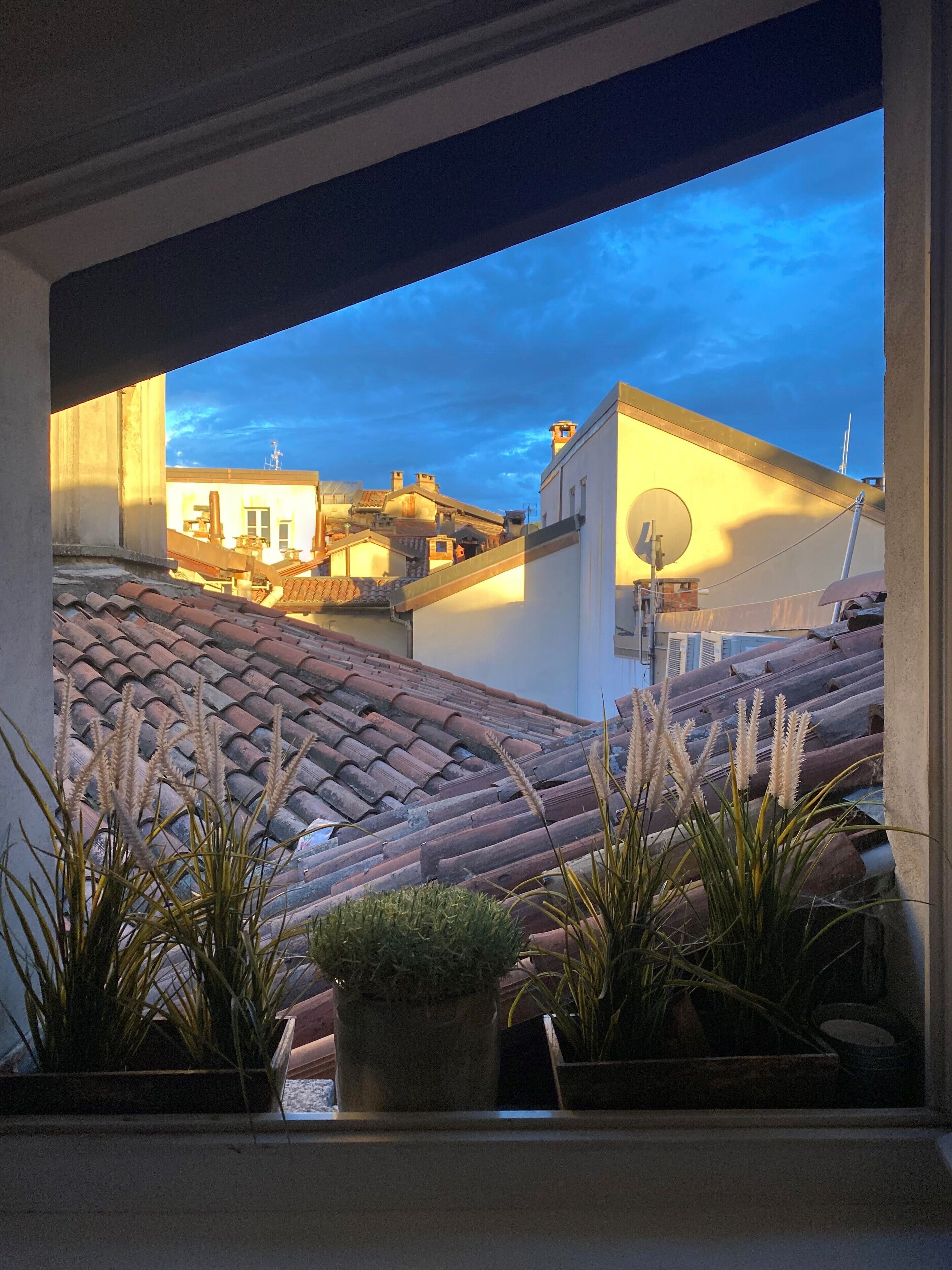 A view of terracotta-tiled rooftops with potted plants in the foreground.