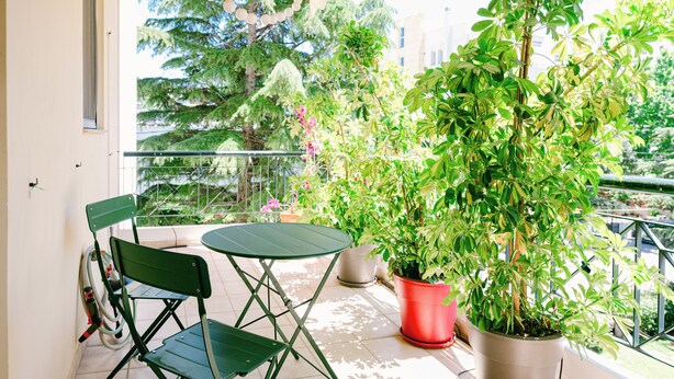 A balcony with a green folding table and chairs, potted plants, and a view of trees and buildings.