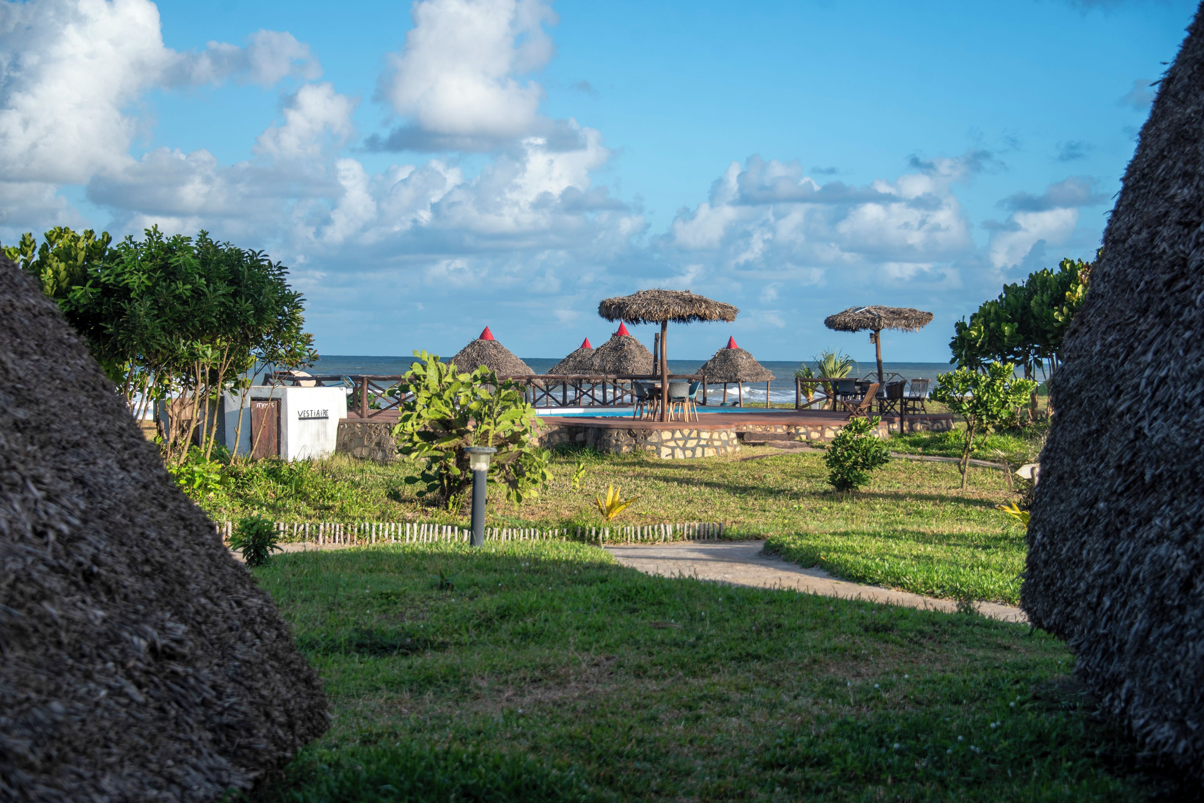 A beachside resort with thatched umbrellas, a pool, and a view of the ocean.