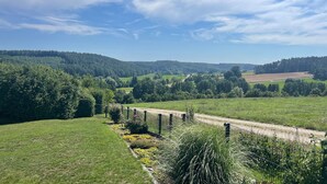 Paisaje rural con un campo cercado, un camino de tierra y una colina boscosa al fondo.
