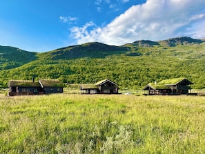 Exterior - Indoor hot tub, views & nature, cosy family cabin (Vang kommune)