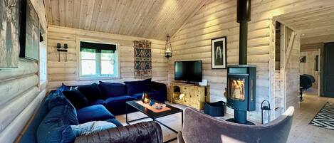 Televisie, een open haard en boeken