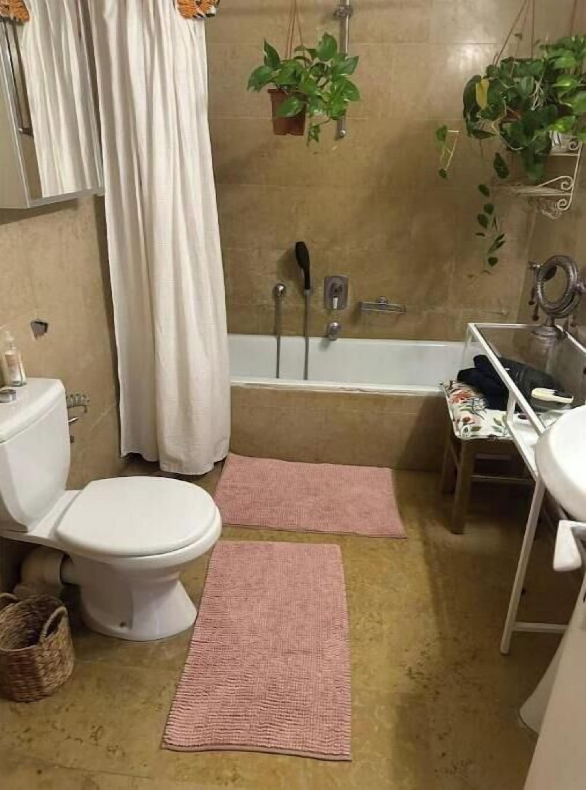 Secador de pelo, toallas, papel higiénico