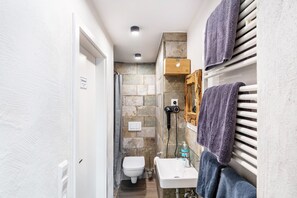 Shower, hair dryer, towels