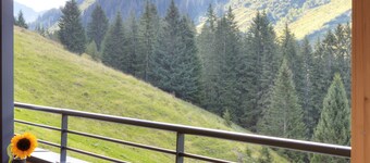 Alpenstolz Damüls Haus 3