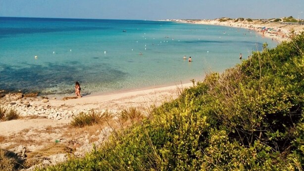 Una playa con agua turquesa cristalina, una orilla arenosa y algo de vegetación en primer plano.