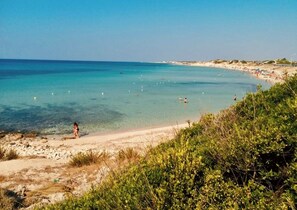 Playa en los alrededores 