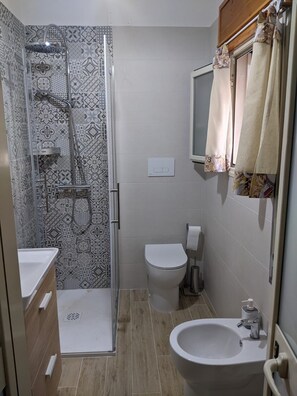 Regadera, secadora de cabello, bidet, toallas 