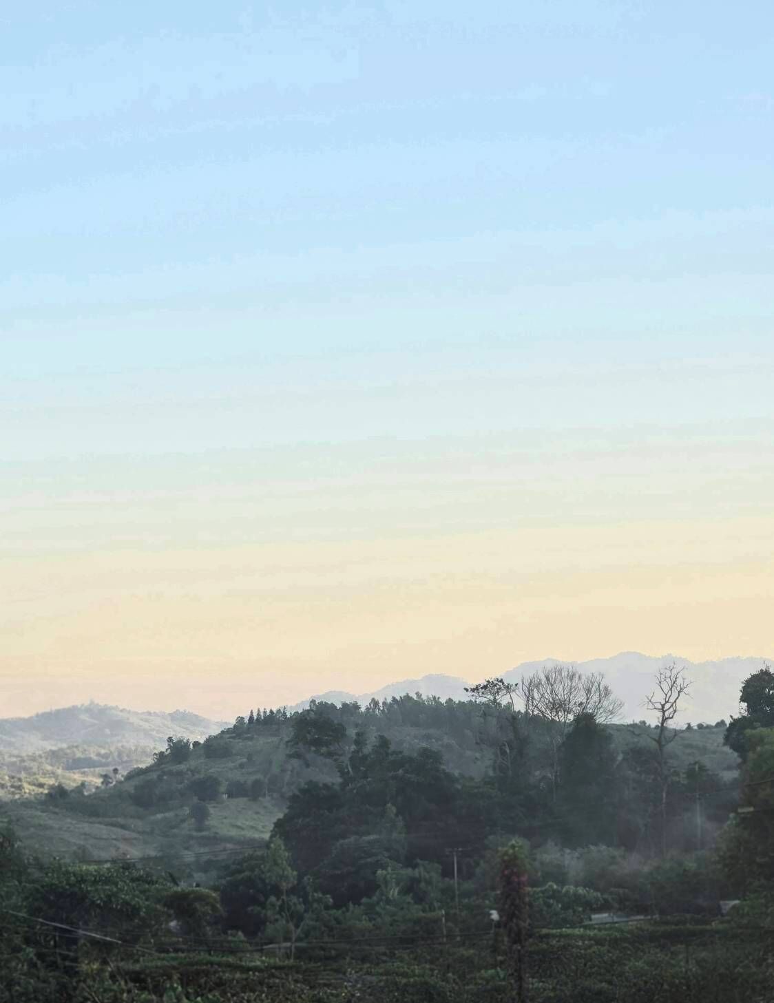 A rural landscape with rolling hills, trees, and a clear sky.