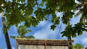 A two-story building with a balcony, surrounded by palm trees and potted plants. - Starfish Garden Lodge (Jambiani)