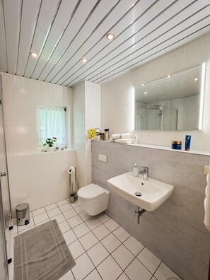 Chuveiro, produtos de toalete grátis, secador de cabelo 