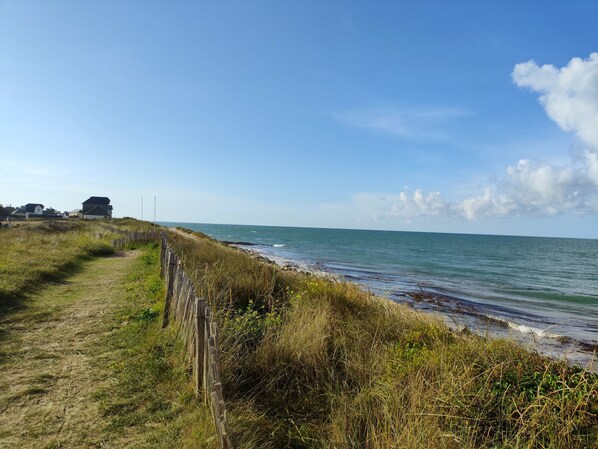 Playa en los alrededores y camastros 