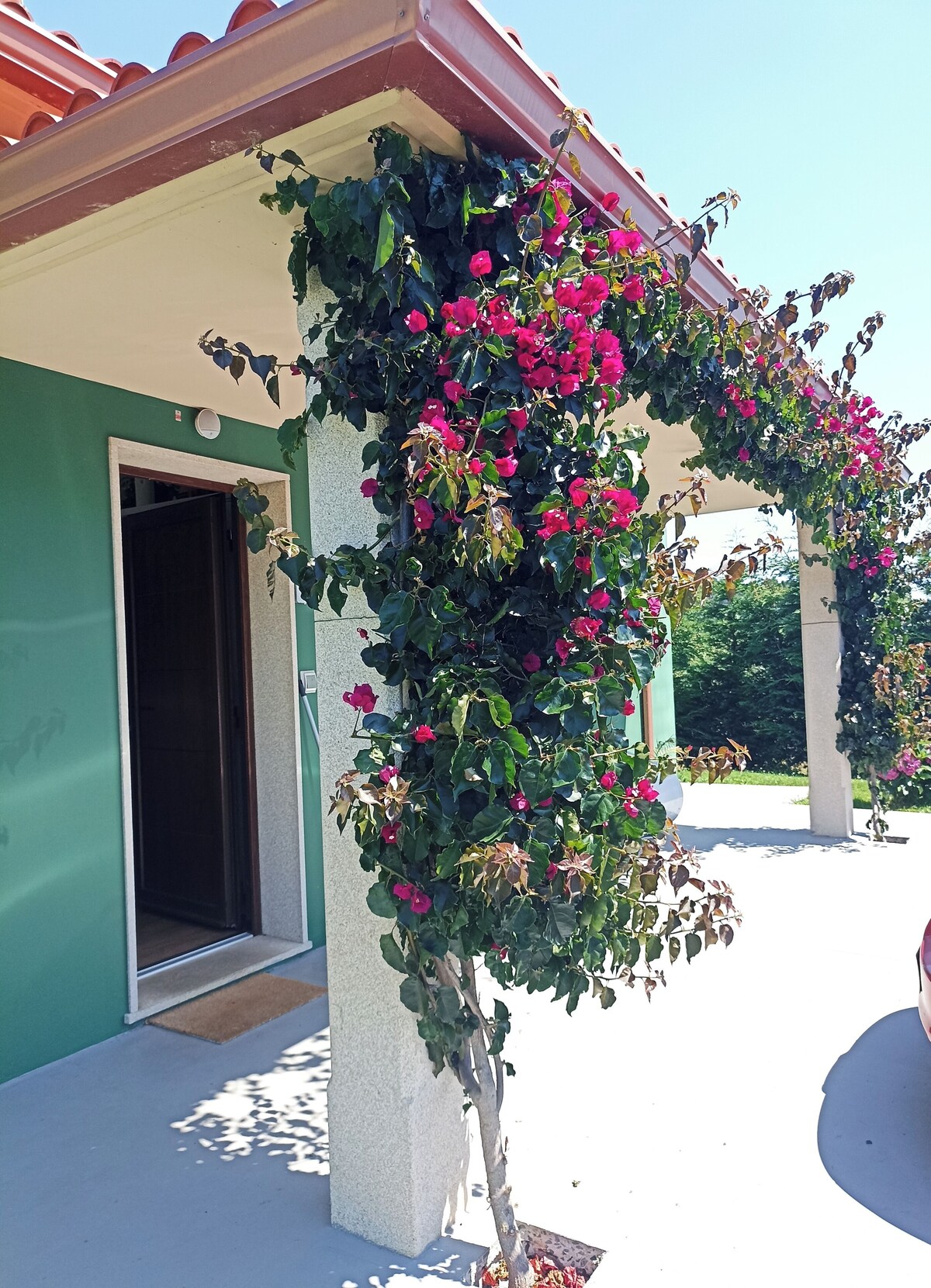 Bild für Gastgeberprofil