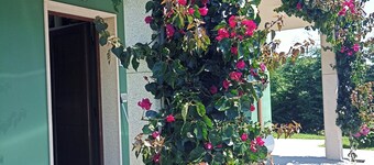 Beautiful and comfortable country house in Meirás, gated property.