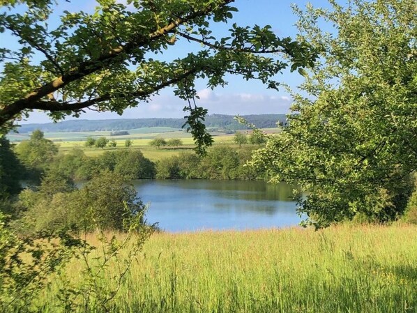 Unclassified image, 1 of 29, button