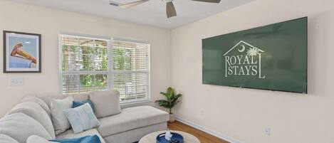 Fernseher, Arbeitsbereiche