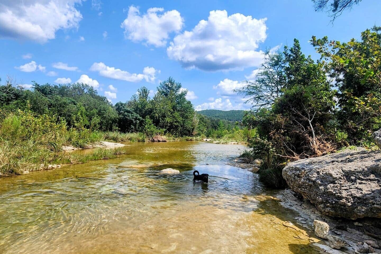 A river with clear water, surrounded by greenery and rocks.