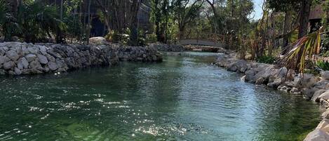 المنطقة المحيطة بالمنشأة